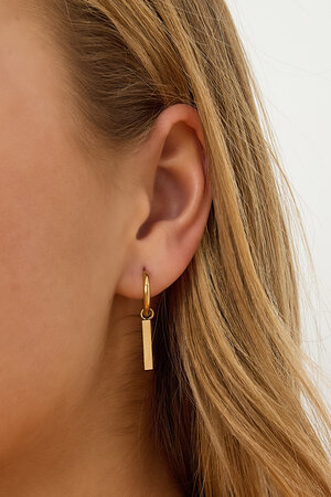 Boucles d'oreilles pendantes rectangulaires en acier inoxydable, collection décontractée et simple pour femmes h5 Image3