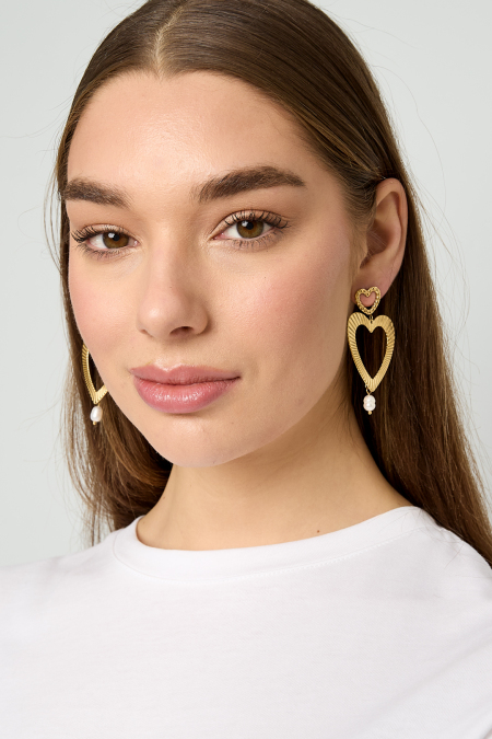 Stainless Steel Dangle Earrings Heart Casual Daily Simple Series Women's jewelry 2
