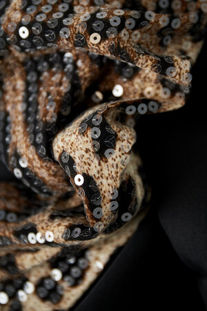 Conjunto de Traje de Mujer en Poliéster Chaqueta con Mangas de Estampado de Leopardo y Lentejuelas h5 Imagen5
