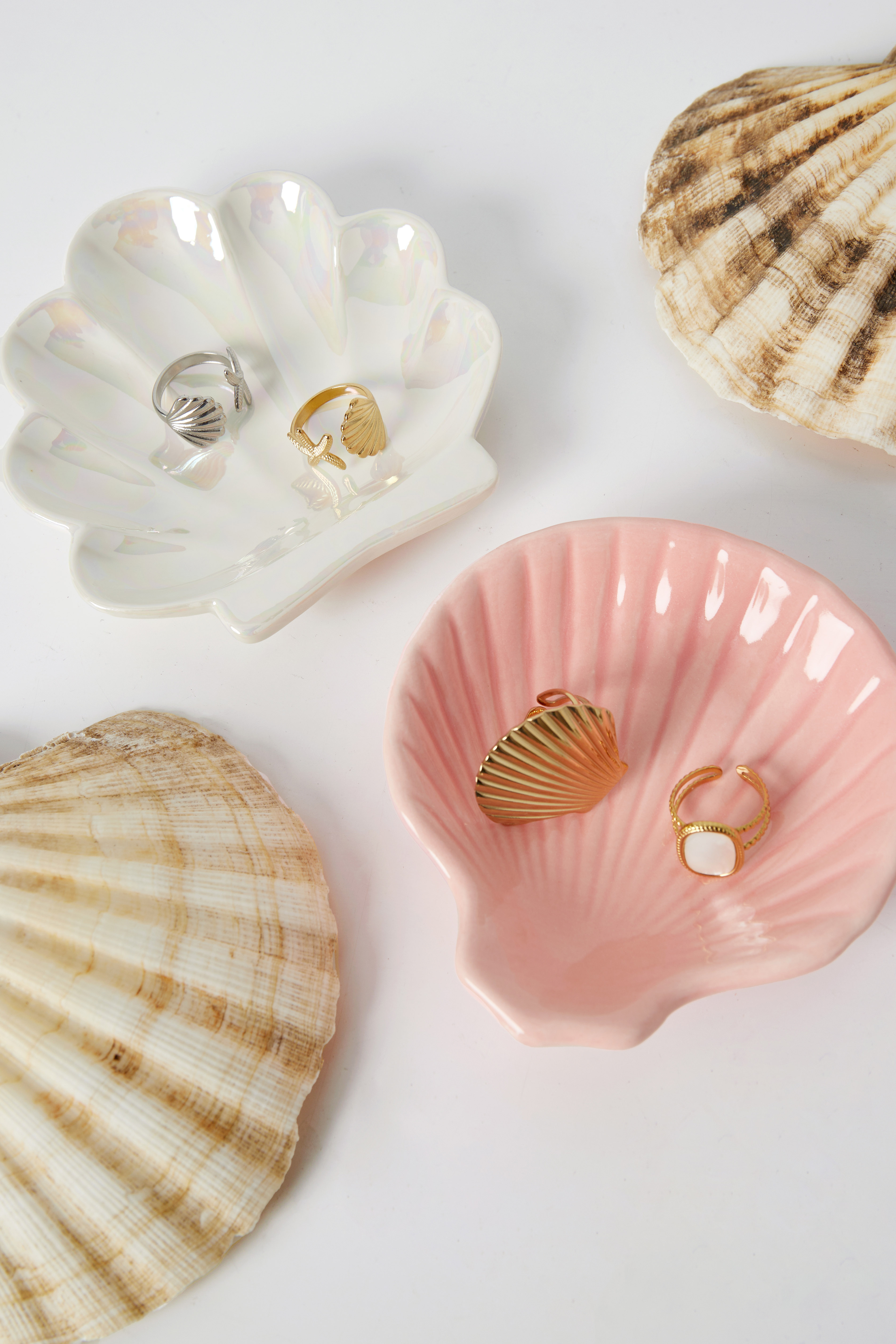 Glass display shell perfection h5 Picture2