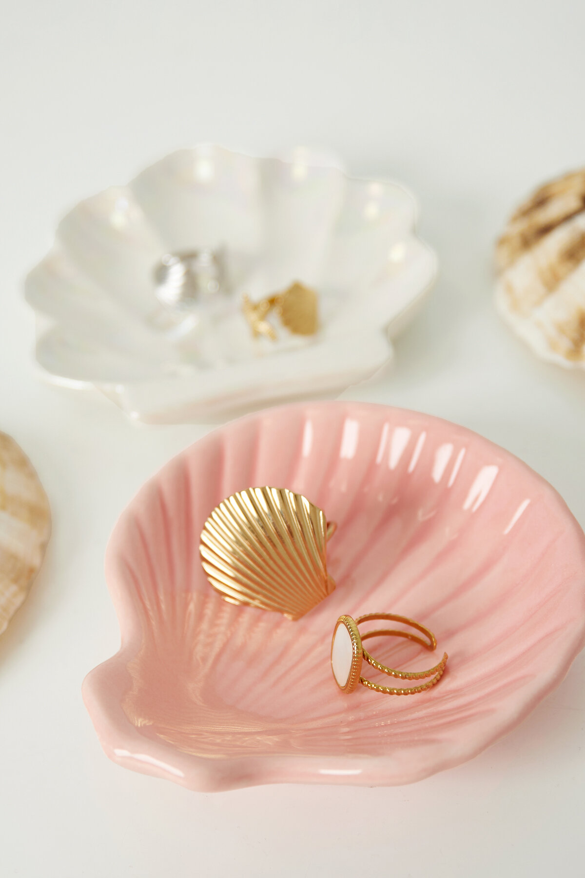 Glass display shell sign Picture2