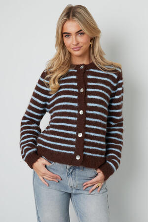 Stripe Cardigan h5 Picture7