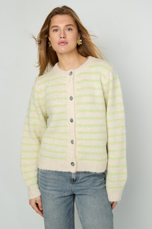 Stripe Cardigan h5 Picture8
