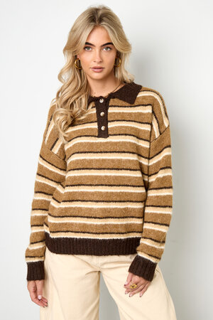 Knitted polo sweater with stripes h5 Picture4