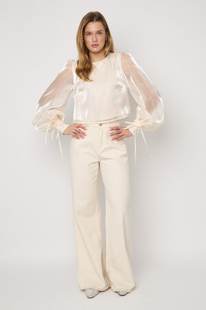 Shimmer Pearl Blouse h5 Picture6