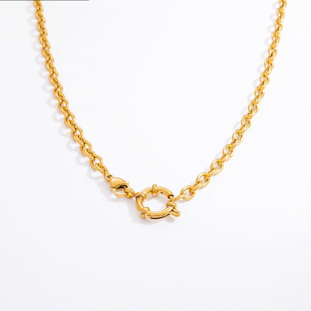 1 Piece Simple Series Daily Stainless Steel Waterproof Gold Color DIY Women's Chain Necklaces h5 Picture6