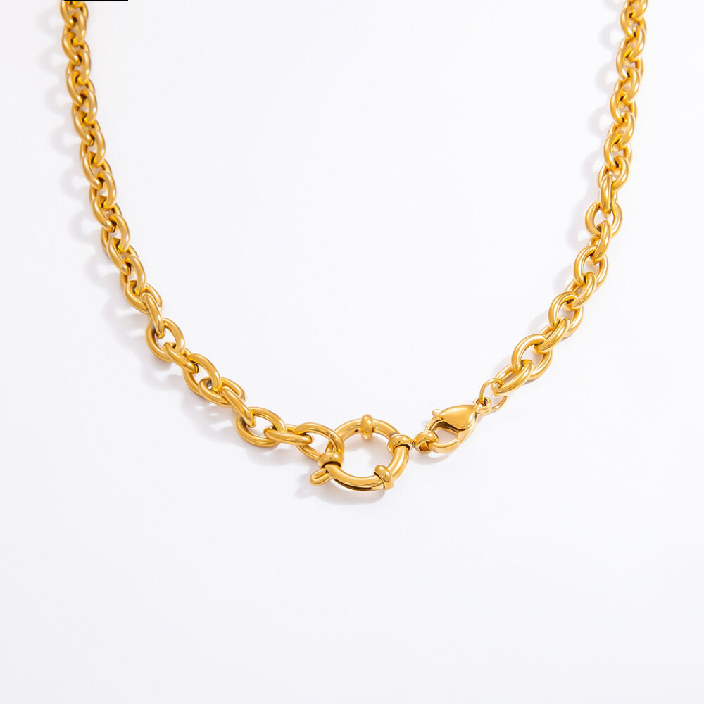 1 Piece Simple Series Daily Stainless Steel Waterproof Gold Color DIY Women's Chain Necklaces h5 Picture8