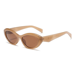 1 Pair Simple Series Daily Leopard Print Plastic Women Sunglasses h5 Picture7