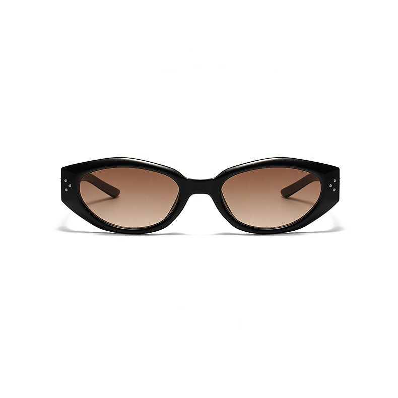 1 Pair Stylish Retro Cat Eye Shaped Women's Sunglasses