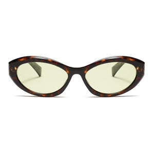 1 Pair Simple Series Daily Leopard Print Plastic Women Sunglasses h5 Picture2