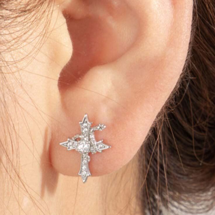 1 Piece Simple Series Casual Animal Titanium Steel No Plating Material Zircon Women's Stud Earrings 2