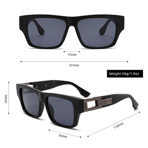 1 Pair Simple Series Daily Solid Color Plastic Women's Sunglasses h5 Picture9