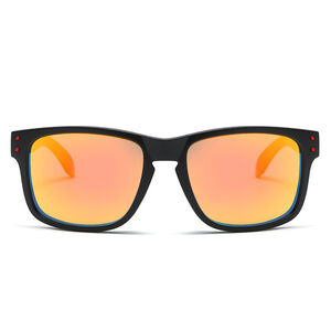 1 Pair of Basic Everyday Sports Casual Solid Color Unisex Sunglasses h5 Picture2