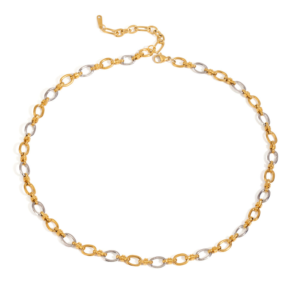1 Piece Modern Series Sophisticated Chain Stainless Steel Waterproof Gold & Silver Color Women's Chain Necklaces h5Picture11