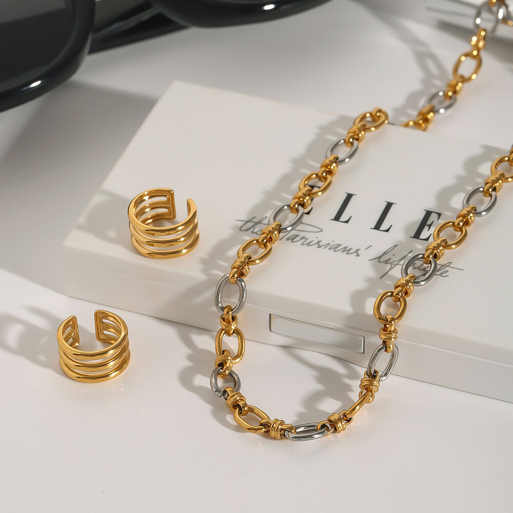 1 Piece Modern Series Sophisticated Chain Stainless Steel Waterproof Gold & Silver Color Women's Chain Necklaces h5Picture3