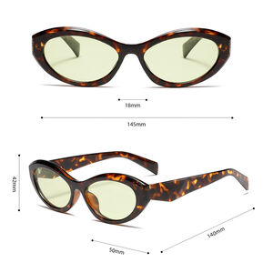 1 Pair Simple Series Daily Leopard Print Plastic Women Sunglasses h5 Picture8