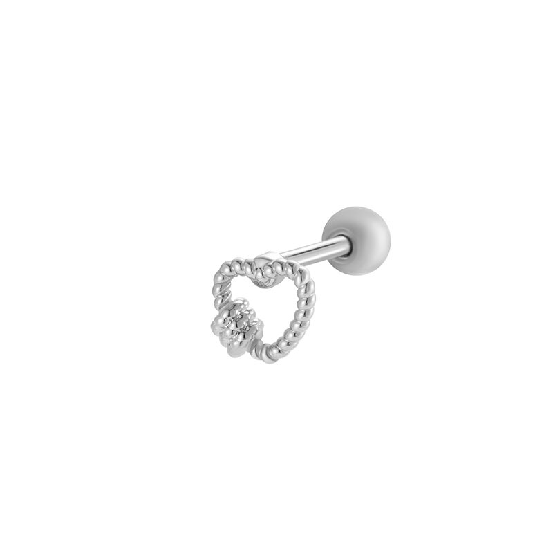 2# Zilver Afbeelding4
