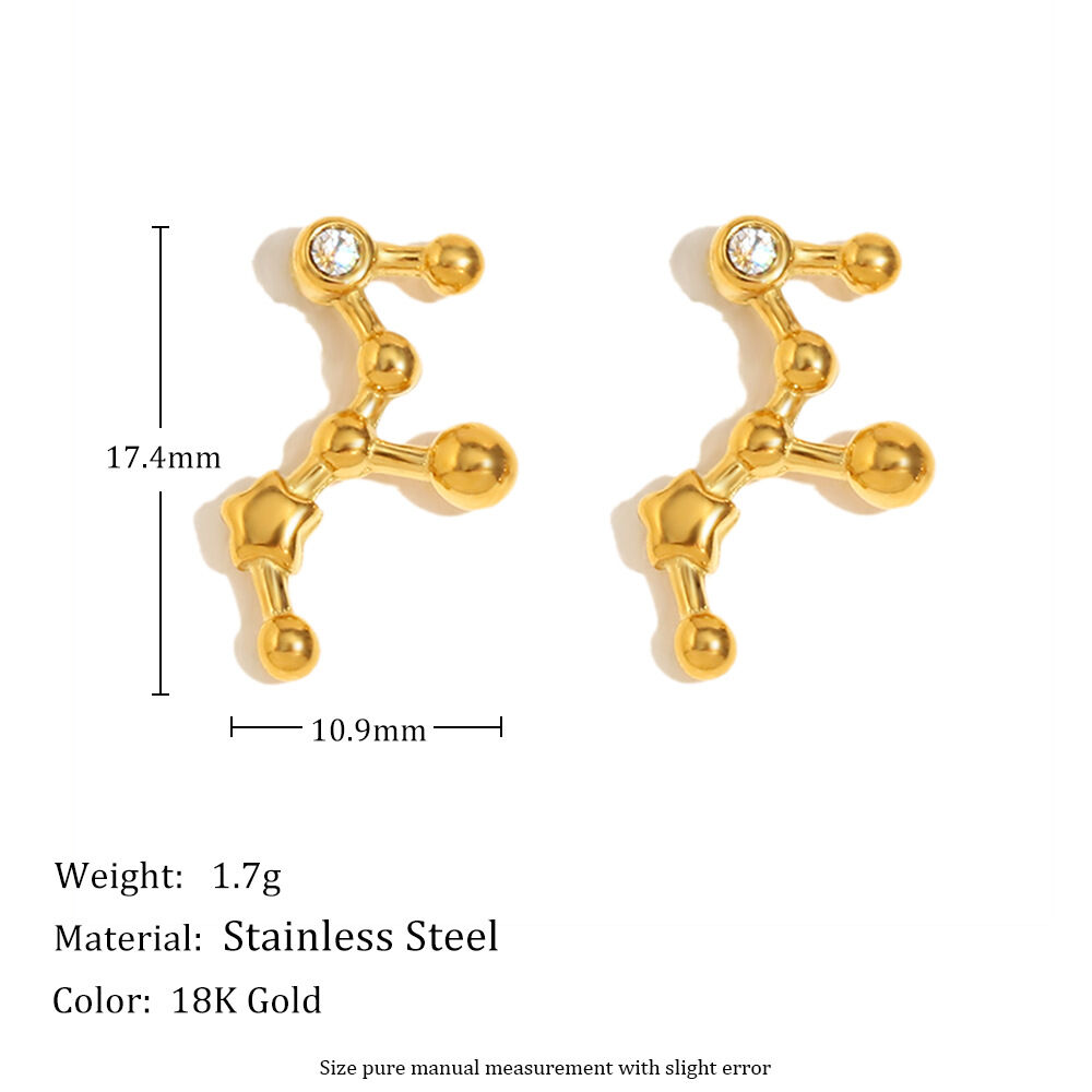 Simple Series Constellation Gold Stainless Steel Waterproof Women's Stud Earrings 