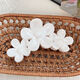 White Picture3