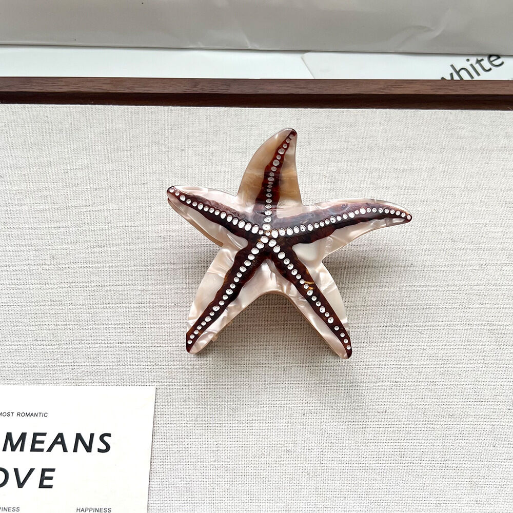 Stella marina marrone 9*8,5 cm Immagine5