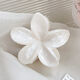 White Picture5