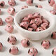Pink Dog Picture4