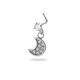 449-Silver Picture3