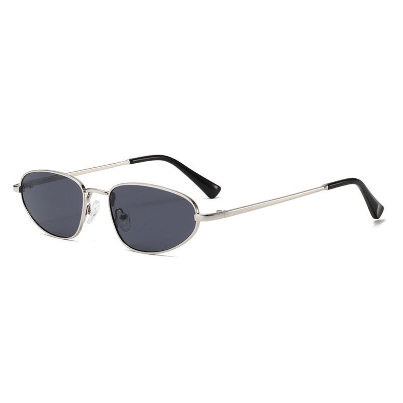 C6 Bright Silver/Gray Picture6