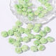 Shell Picture10