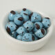 Blue Dog Picture5