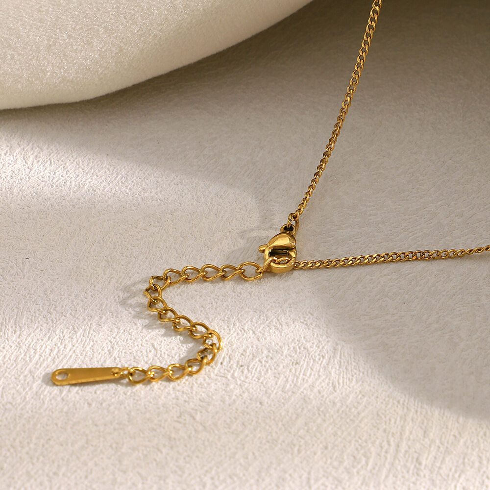Simple Series OL Solid Color Stainless Steel Waterproof Women's Chain Necklaces Picture3