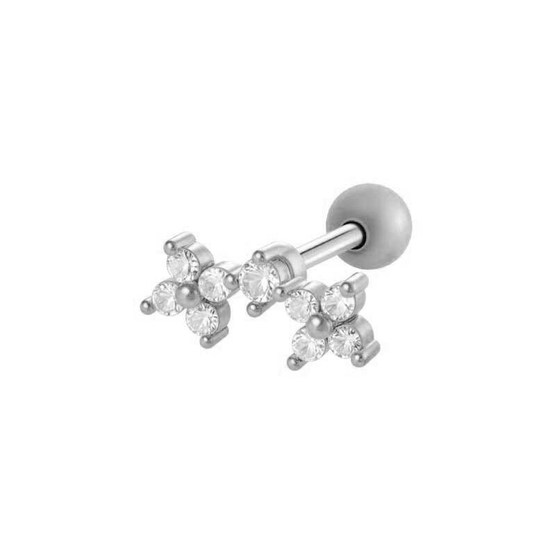 024-6# Silver Picture12