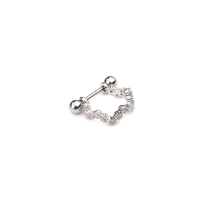 Zilver 2# Afbeelding2