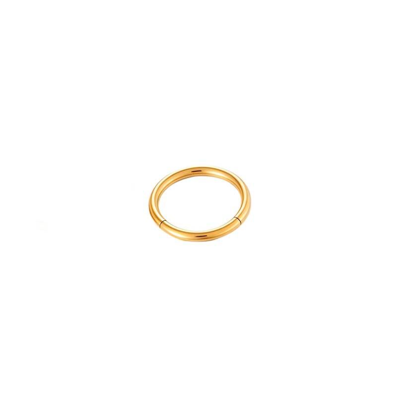 1 minimalistischer, wasserdichter Ohrring aus Edelstahl in Goldfarbe für Damen h5 