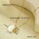 Nmsn-F521-1 Snail Shell Picture5