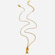Golden Glossy Fish