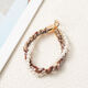 Brown 9+Transparent Clip Picture14