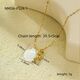 Nmsn-F524-1 Smooth Seahorse Picture11