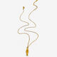 Golden Striped Fish Picture3
