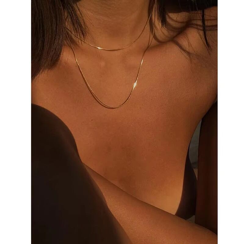 Simple and Versatile Double-layer Stainless Steel Waterproof Women's Necklace Picture3