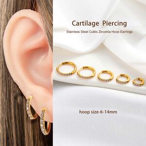 1 Piece Stainless Steel Waterproof Gold Color Zircon Piercings Earrings h5 Picture4