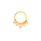 Gold 5# Picture12