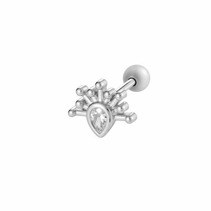 052—Zilver Afbeelding5