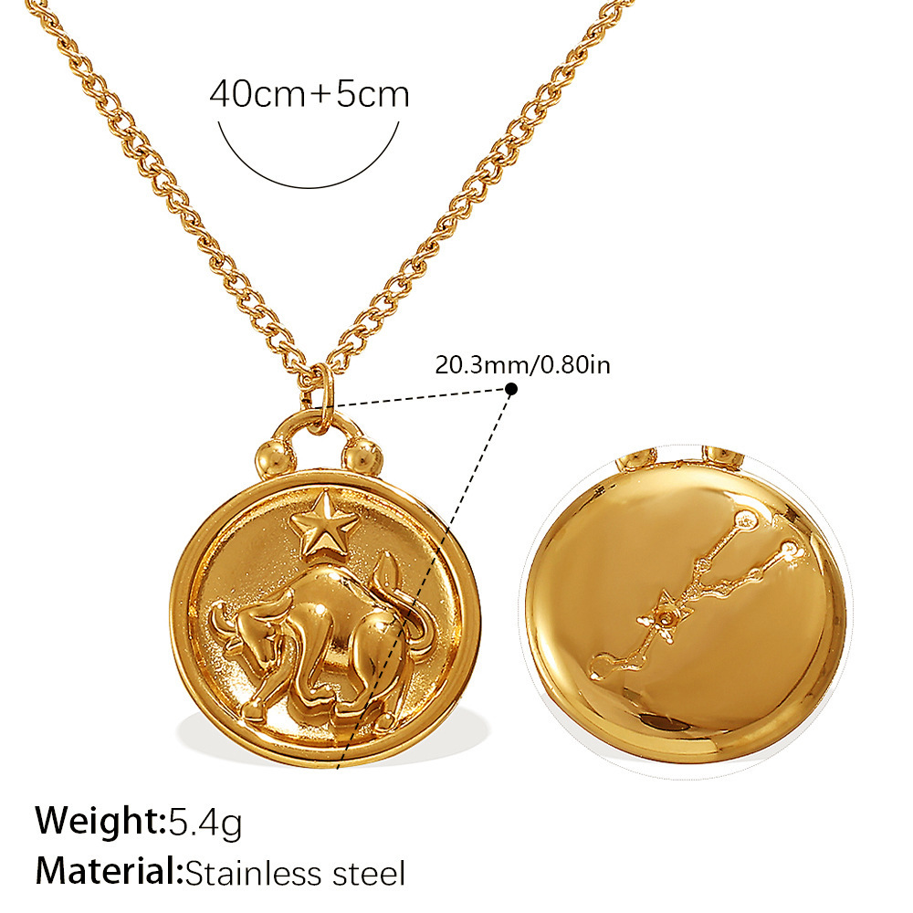 1 Piece Zodiac Signs Stainless Steel Waterproof Mixed Color Pendant Necklace h5Picture2