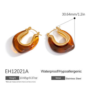 1 Pair Simple Daily Irregular Shape Stainless Steel Waterproof Women's Hoop Earrings h5 Picture2