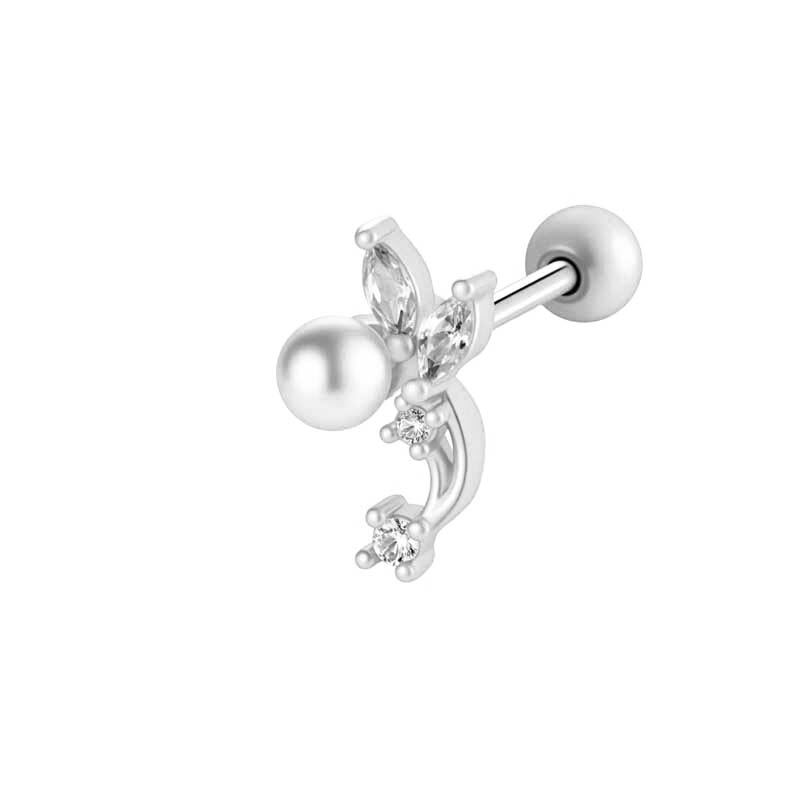 2# Plata Imagen4