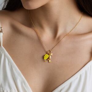 1 Piece Sweet Fruit Stainless Steel Waterproof Women's Pendant Necklaces h5 Picture5