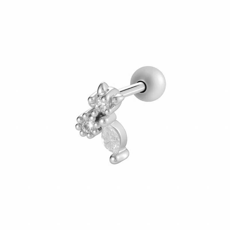 052—Zilver Afbeelding2