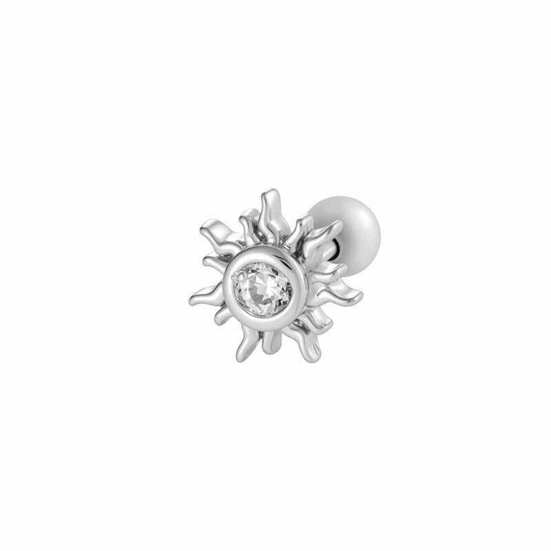 052—Zilver Afbeelding4