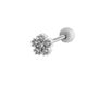 1# Plata Imagen9